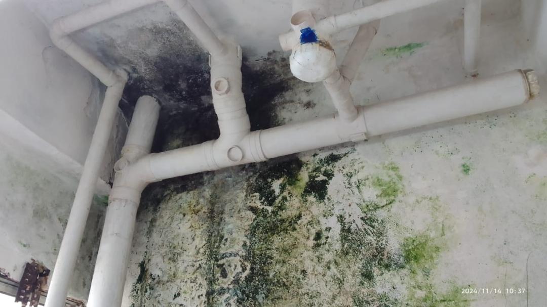 Image for Eh Awok! Siling Bocor & Dinding Berkulat? Roger Kami Cepat!