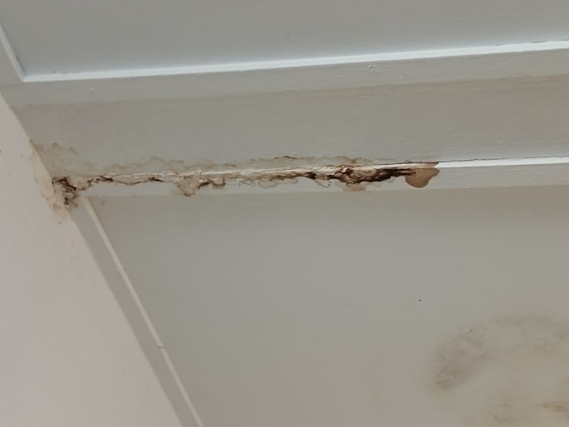 Waterproofing Rumah: Kenapa Penting dan Apa Tanda Masalah